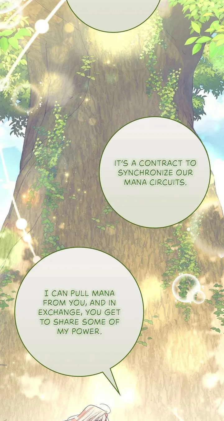 The Beloved Gardener of the World Tree Chapter 39 page 46