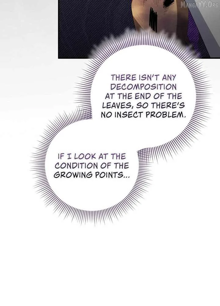 The Beloved Gardener of the World Tree Chapter 36 page 61