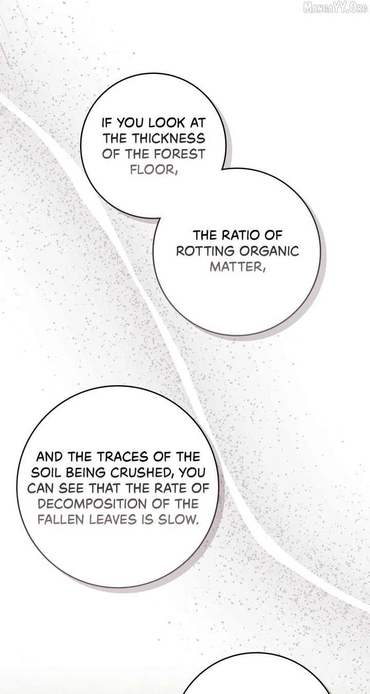 The Beloved Gardener of the World Tree Chapter 36 page 53