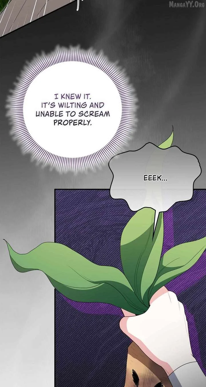 The Beloved Gardener of the World Tree Chapter 36 page 60