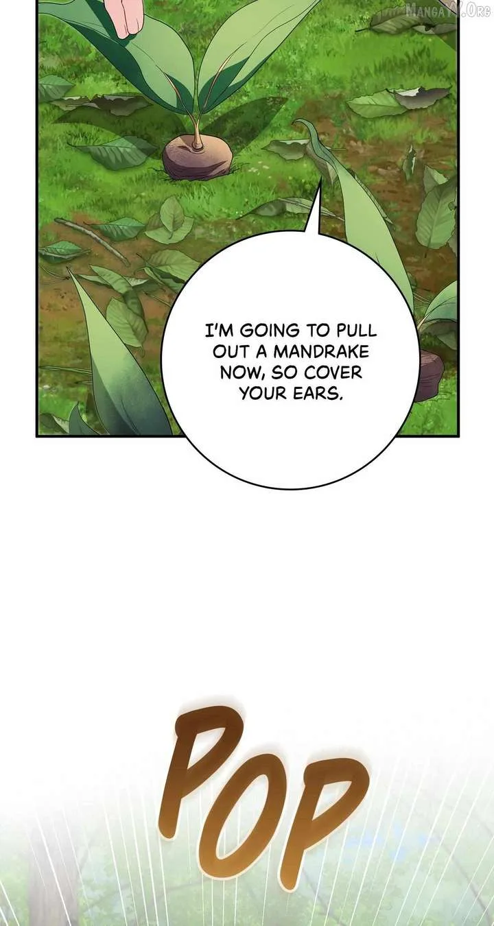 The Beloved Gardener of the World Tree Chapter 36 page 58