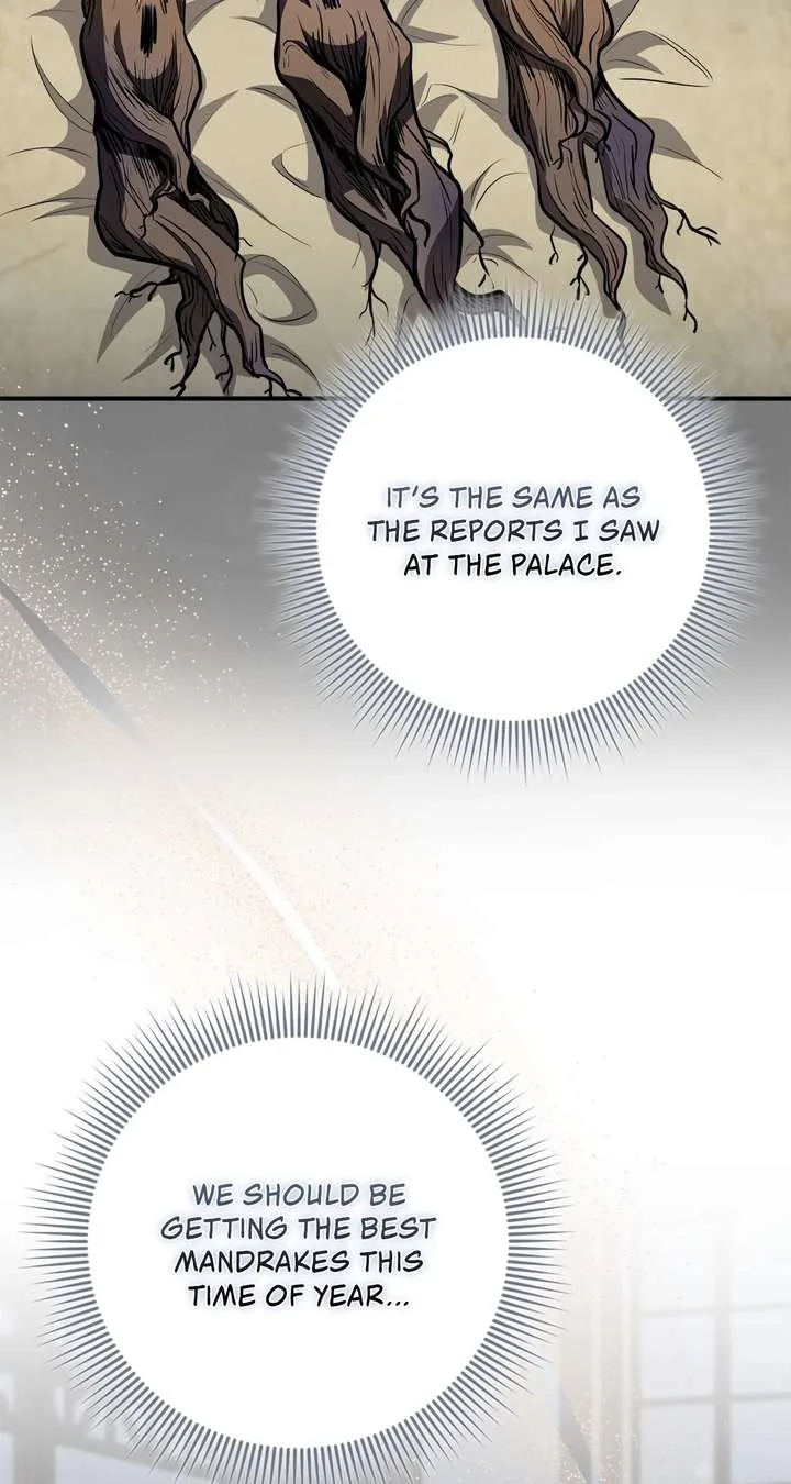 The Beloved Gardener of the World Tree Chapter 26 page 84