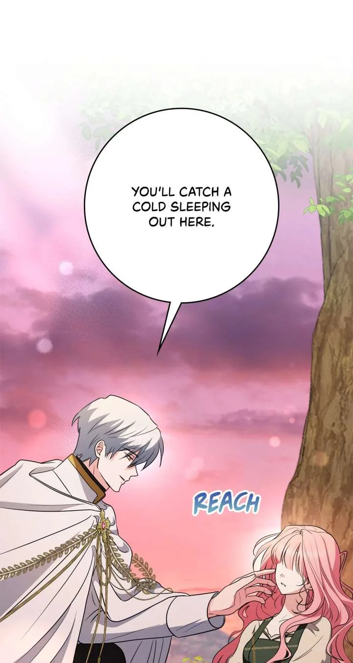 The Beloved Gardener of the World Tree Chapter 18 page 47
