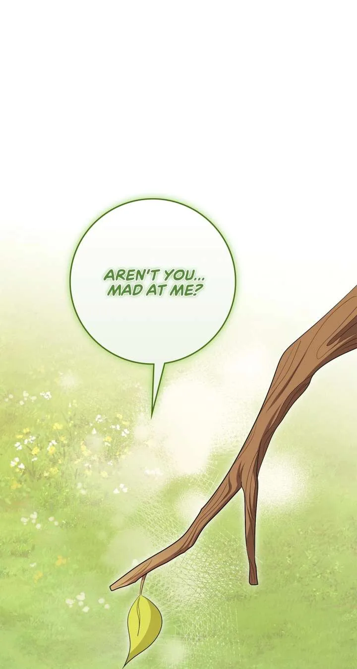 The Beloved Gardener of the World Tree Chapter 17 page 88