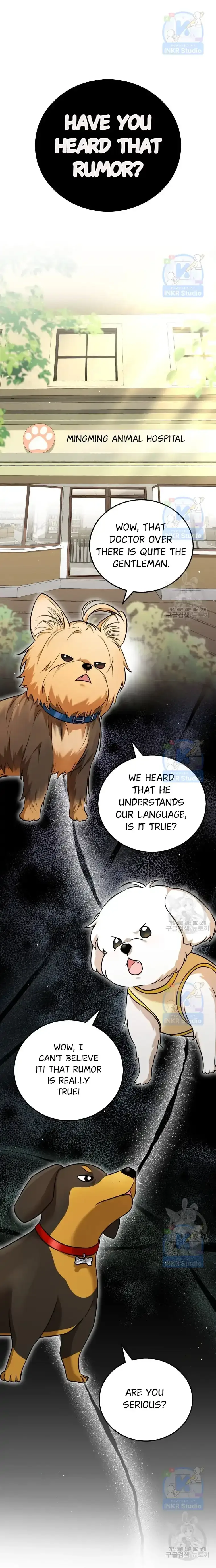 Hello! Veterinarian! Chapter 1 page 1