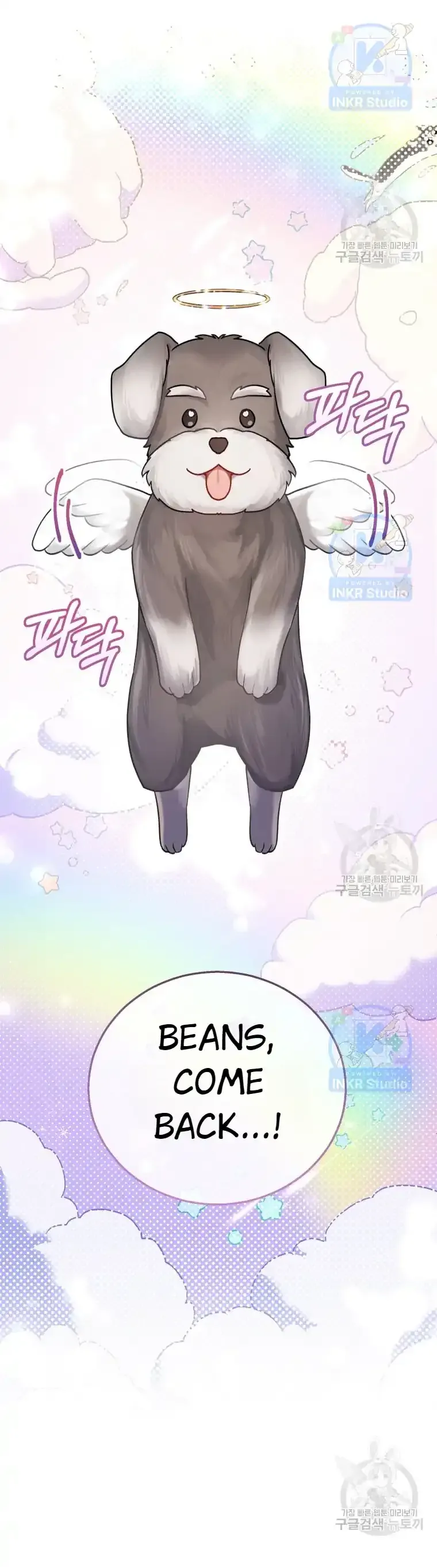 Hello! Veterinarian! Chapter 1 page 6