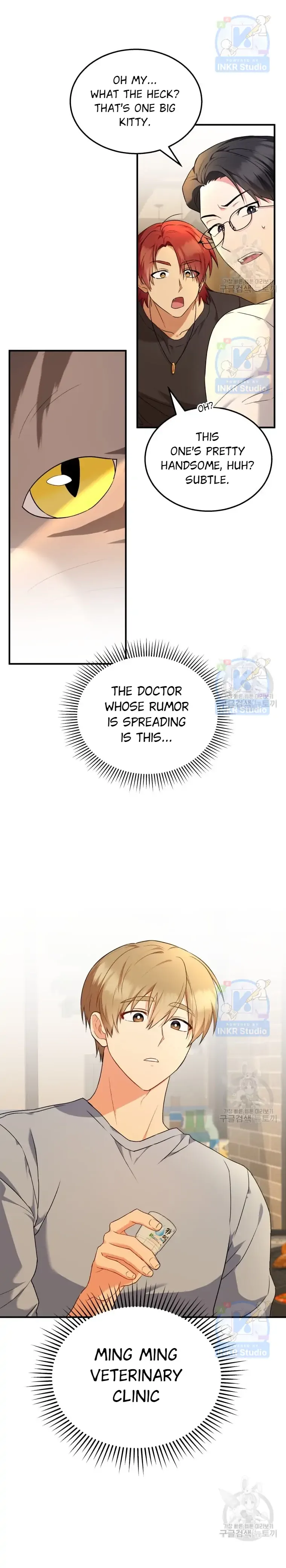 Hello! Veterinarian! Chapter 6 page 17