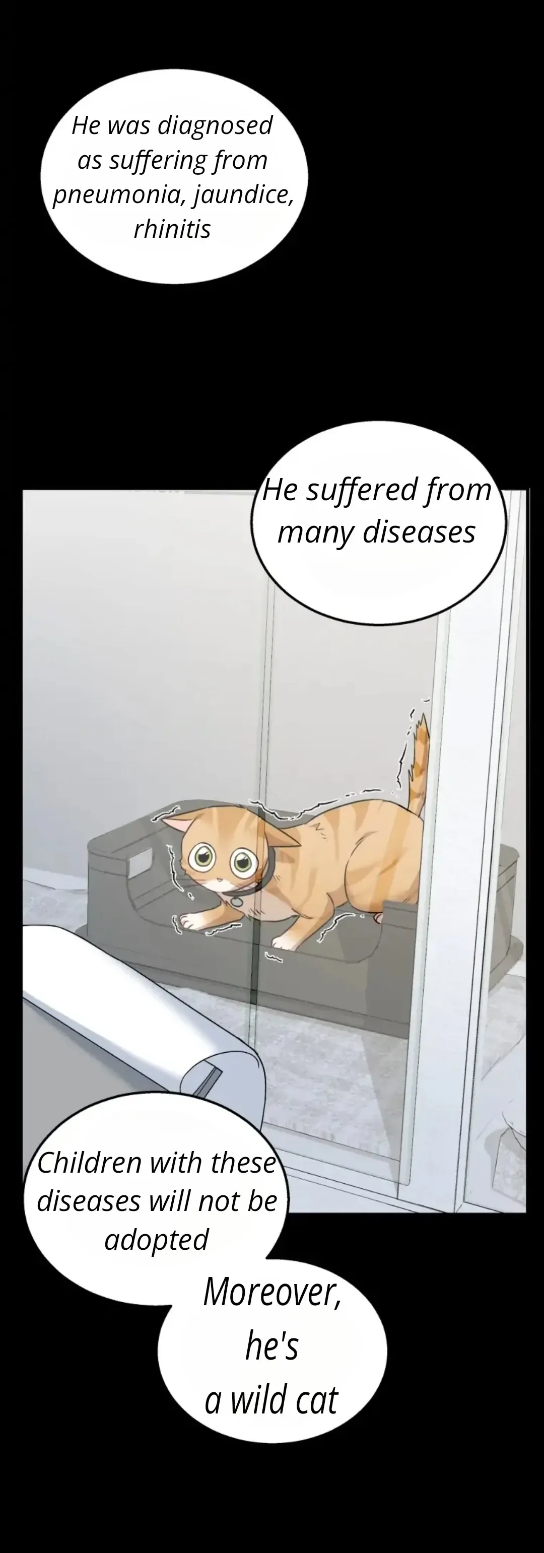 Hello! Veterinarian! Chapter 7.1 page 11