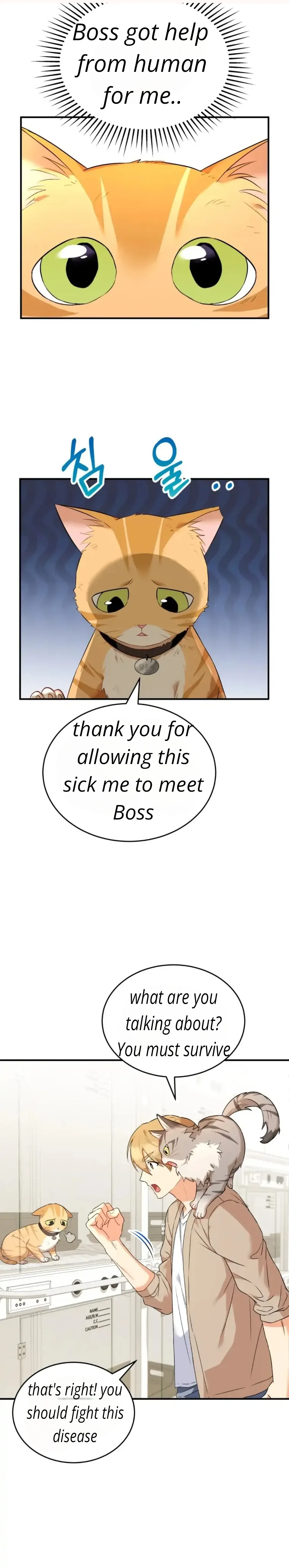 Hello! Veterinarian! Chapter 7 page 32
