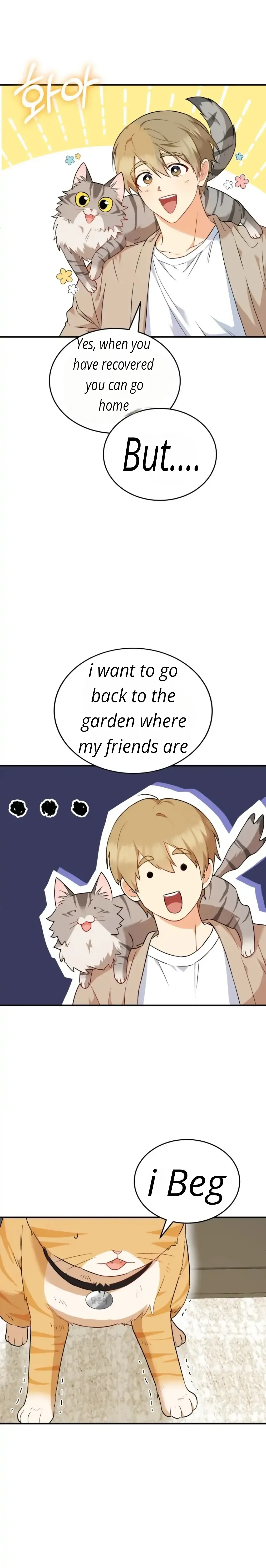 Hello! Veterinarian! Chapter 7.1 page 38