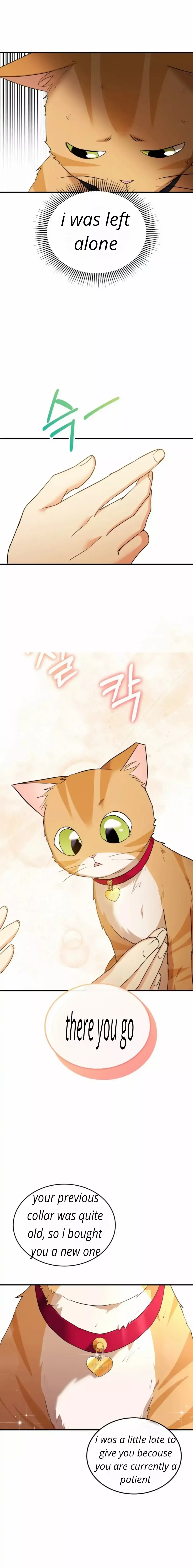 Hello! Veterinarian! Chapter 8 page 16