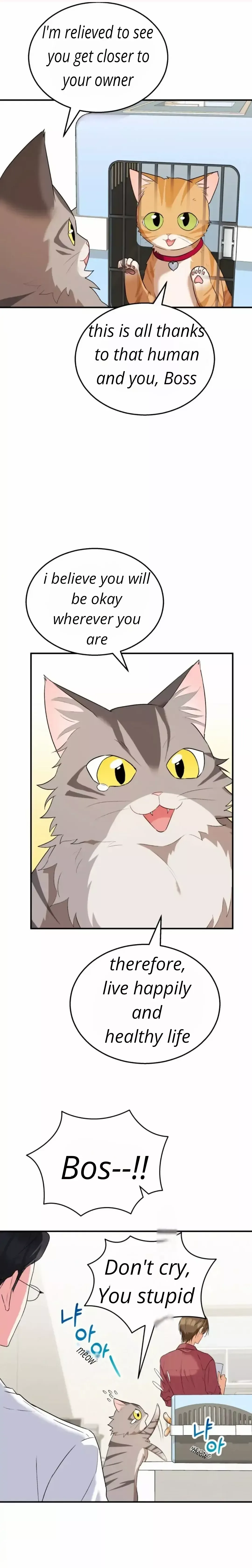 Hello! Veterinarian! Chapter 8 page 22