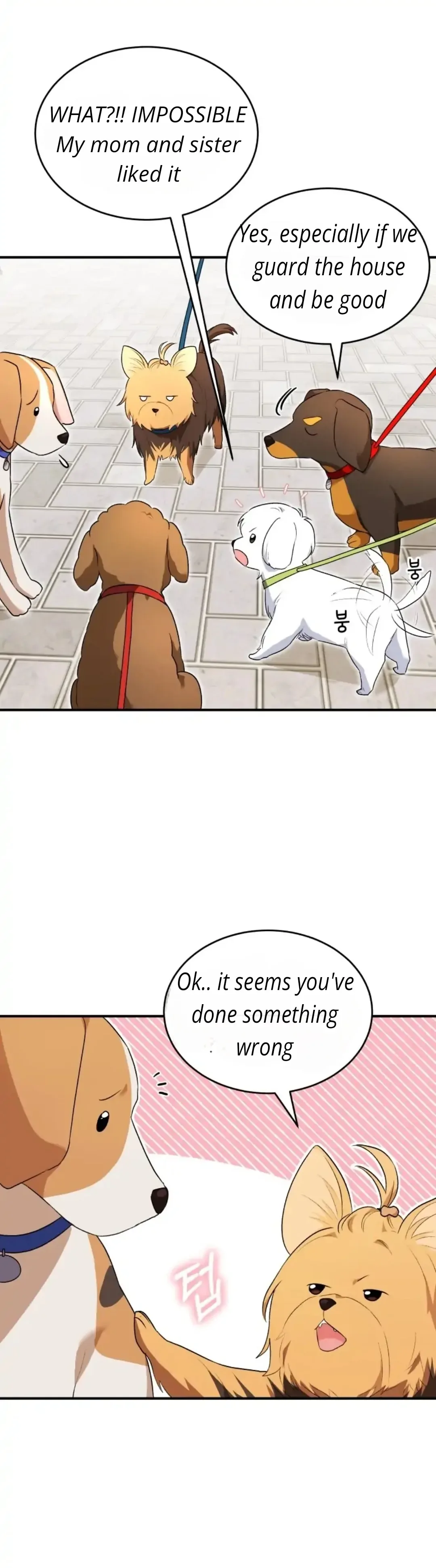 Hello! Veterinarian! Chapter 9 page 13