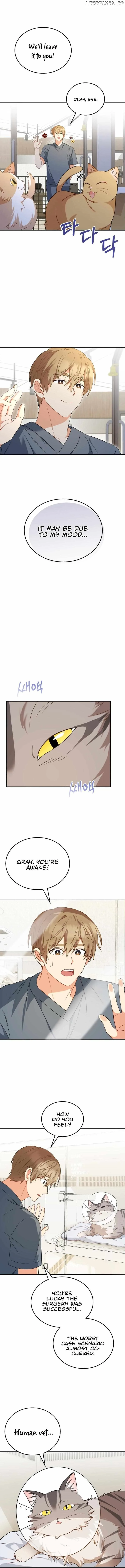 Hello! Veterinarian! Chapter 14 page 11