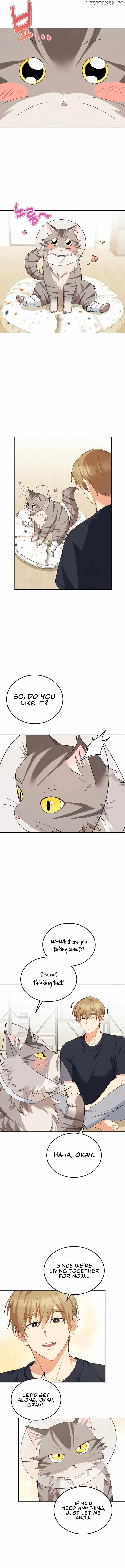 Hello! Veterinarian! Chapter 15 page 8