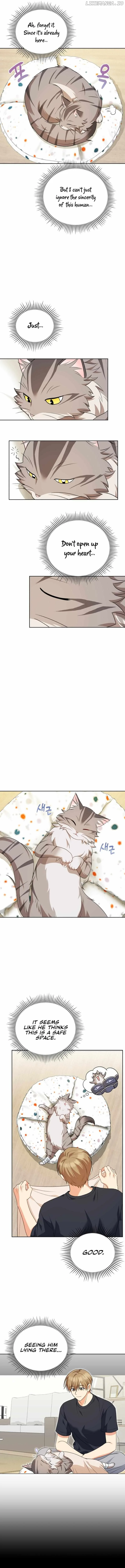 Hello! Veterinarian! Chapter 15 page 12