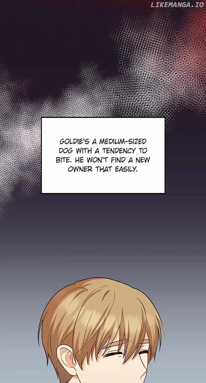 Hello! Veterinarian! Chapter 17 page 37