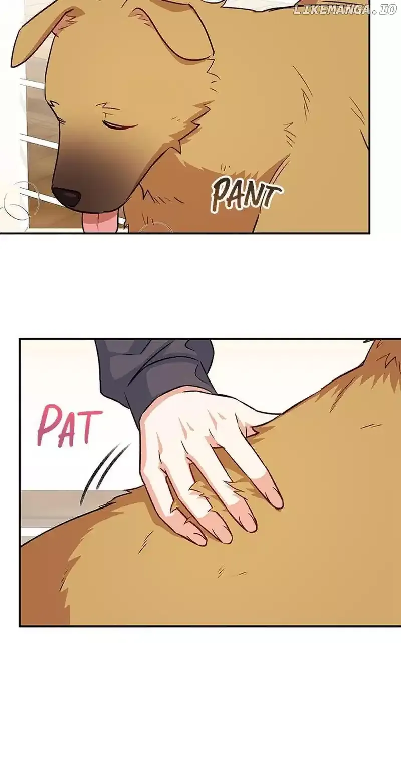 Hello! Veterinarian! Chapter 17 page 58