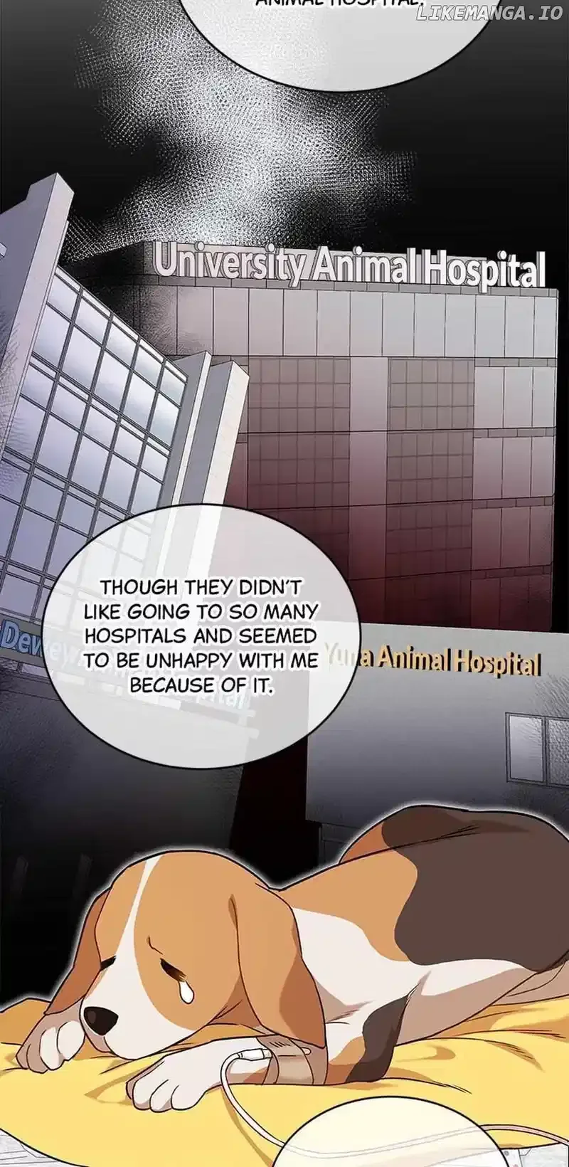 Hello! Veterinarian! Chapter 20 page 12