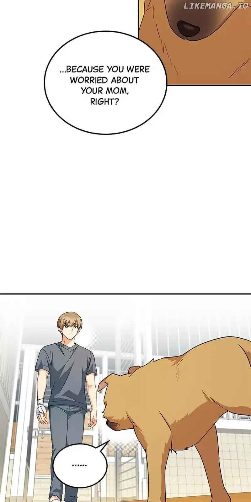 Hello! Veterinarian! Chapter 19 page 11