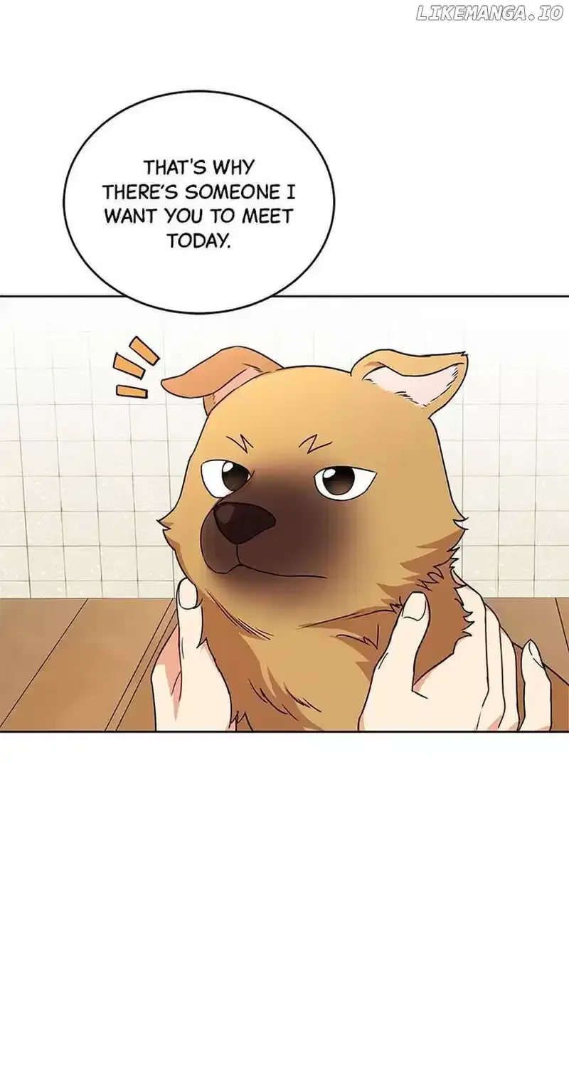 Hello! Veterinarian! Chapter 20 page 33
