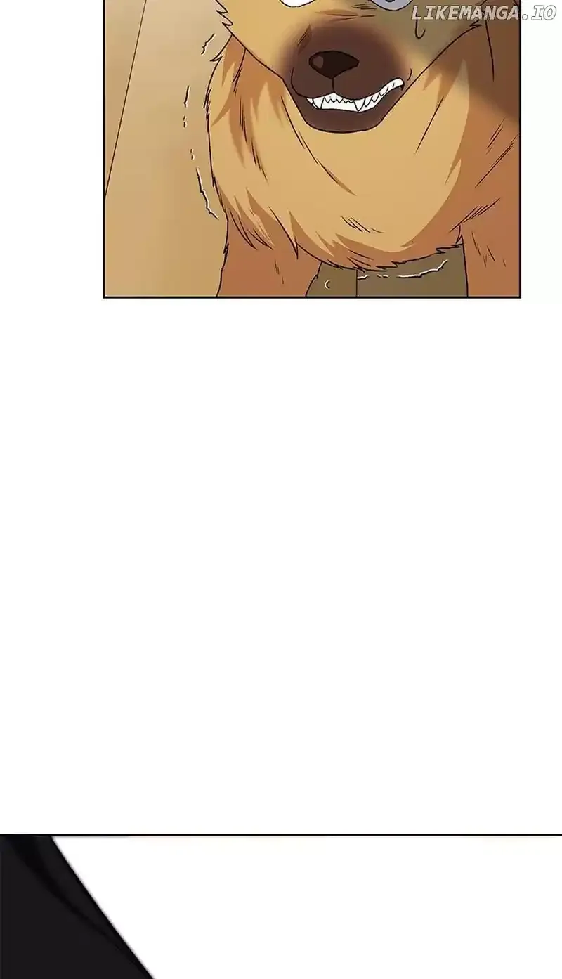 Hello! Veterinarian! Chapter 20 page 47
