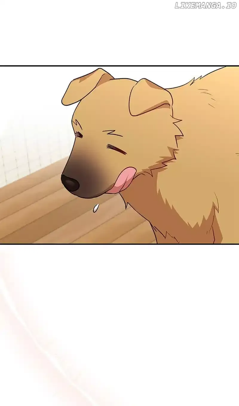 Hello! Veterinarian! Chapter 19 page 39