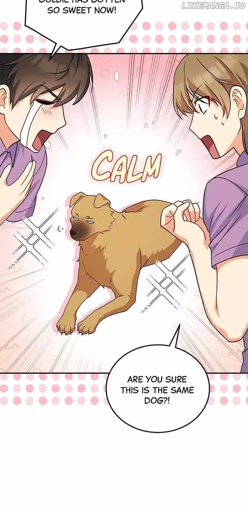 Hello! Veterinarian! Chapter 19 page 45