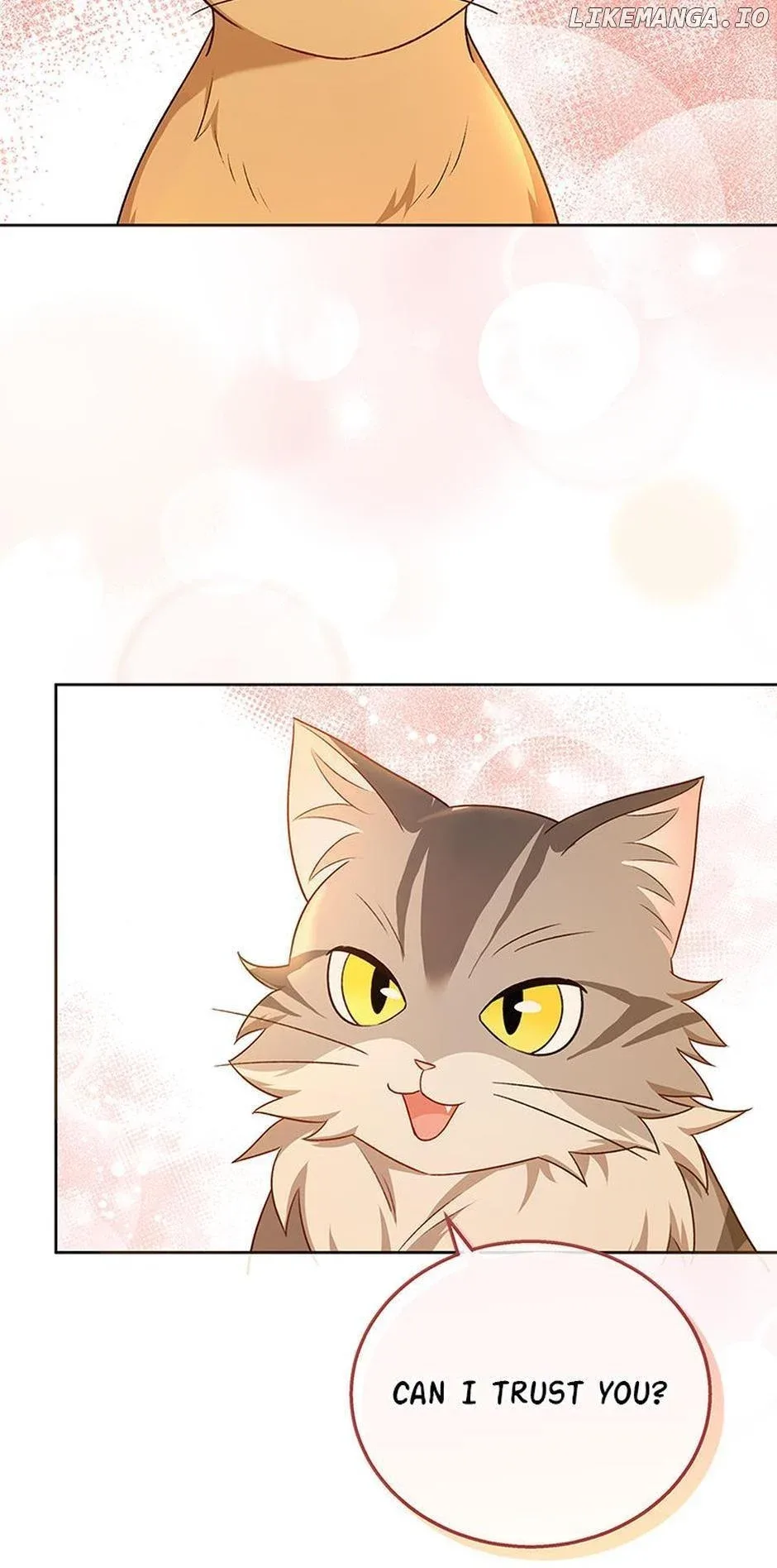 Hello! Veterinarian! Chapter 21 page 71