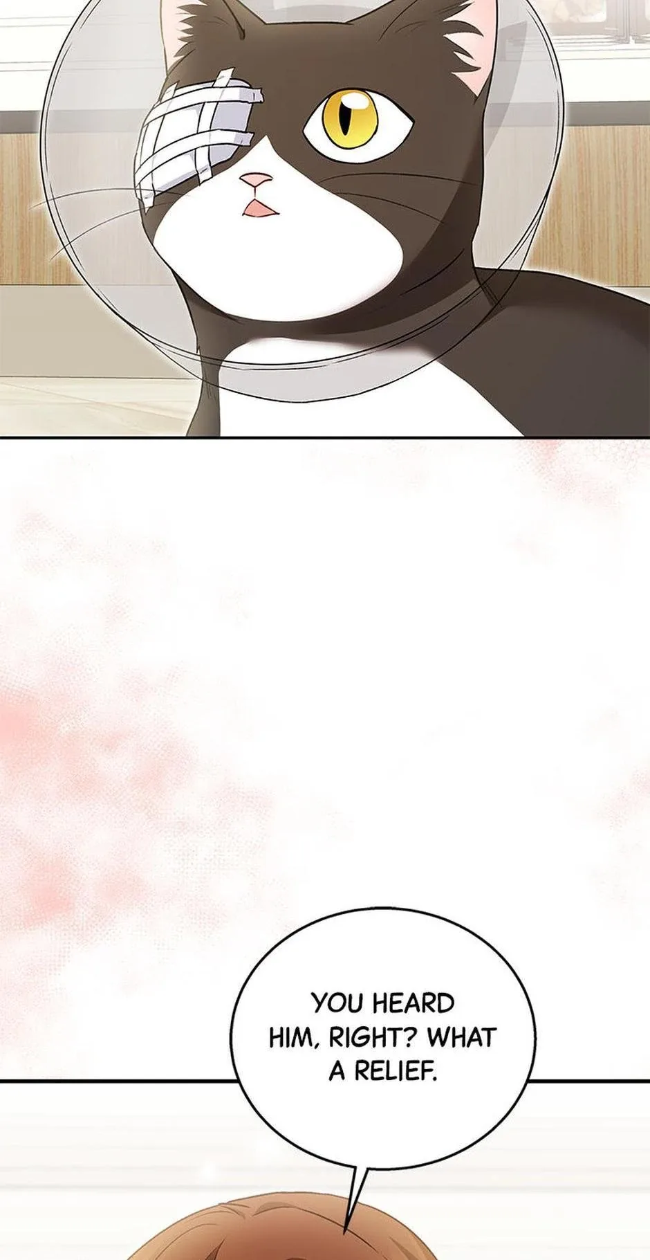 Hello! Veterinarian! Chapter 28 page 14