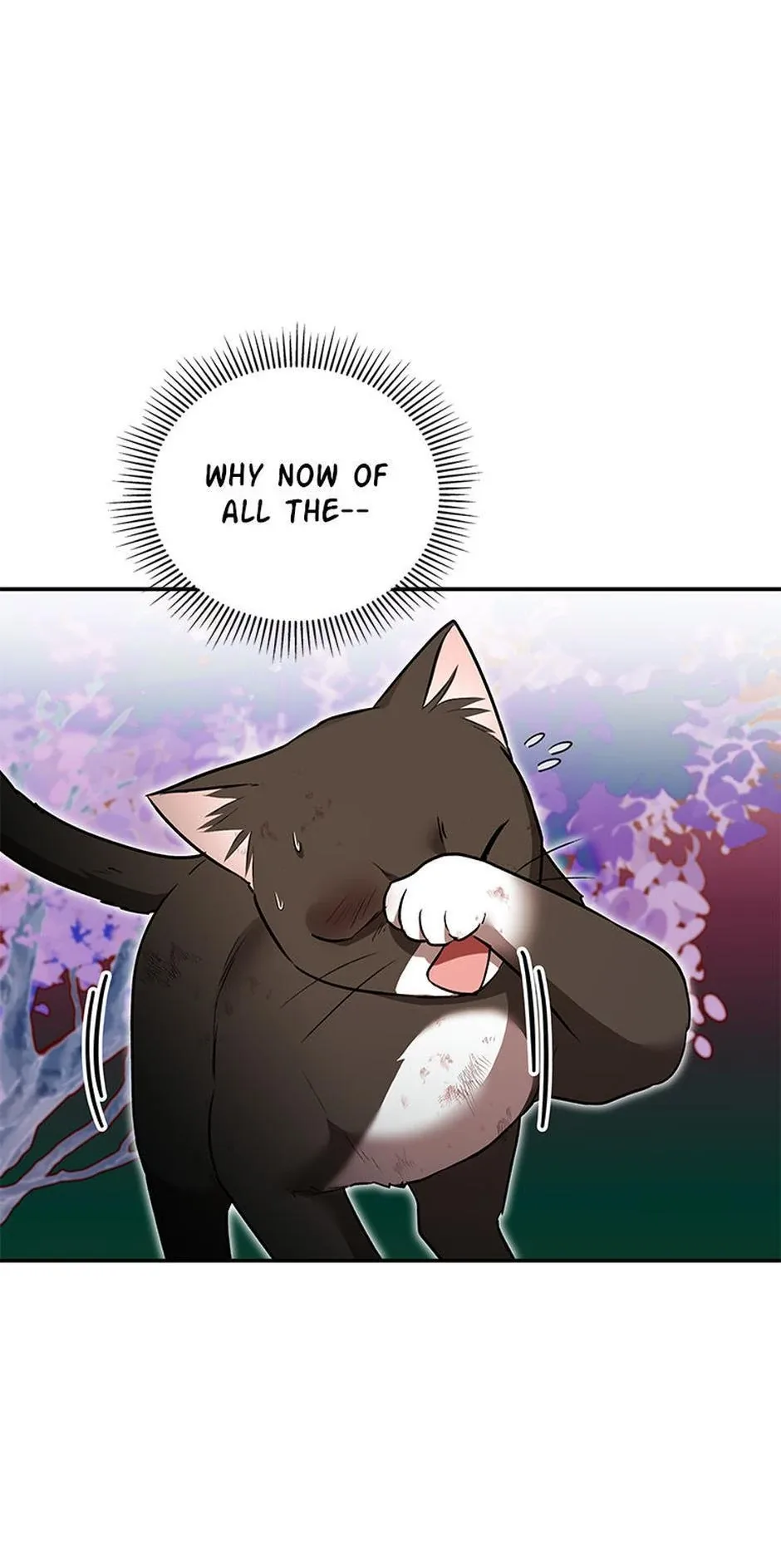 Hello! Veterinarian! Chapter 27 page 39