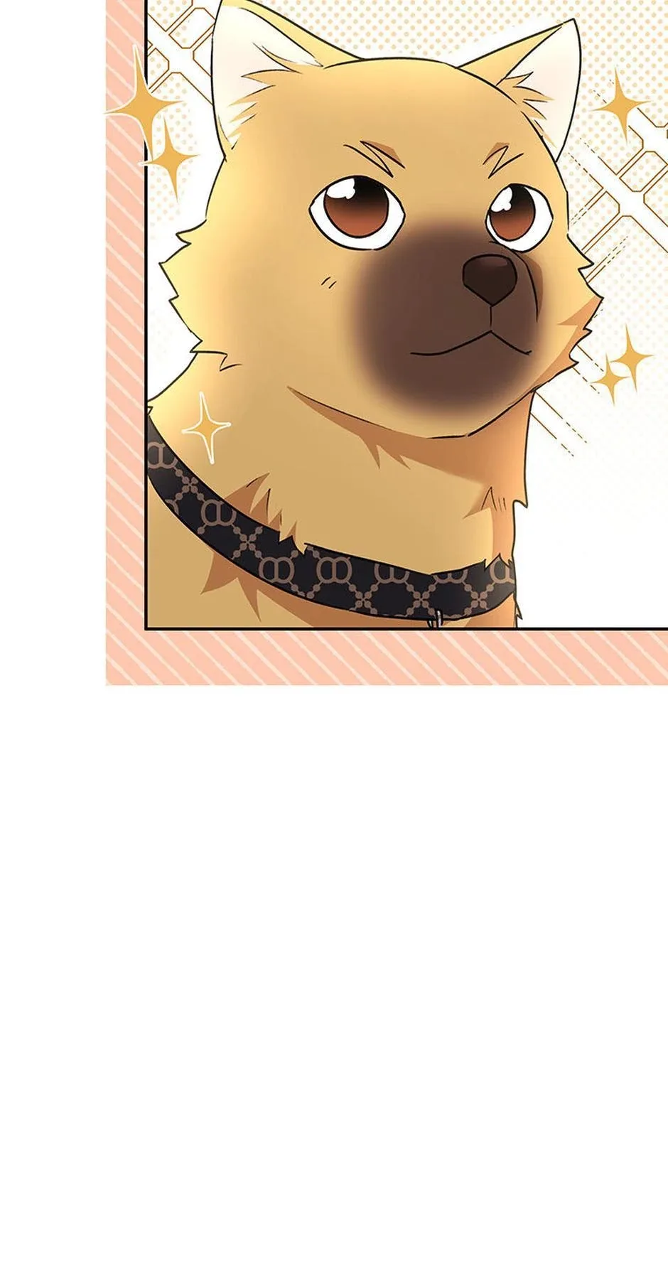 Hello! Veterinarian! Chapter 26 page 81