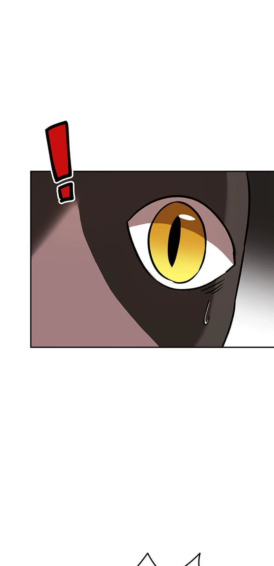 Hello! Veterinarian! Chapter 27 page 37