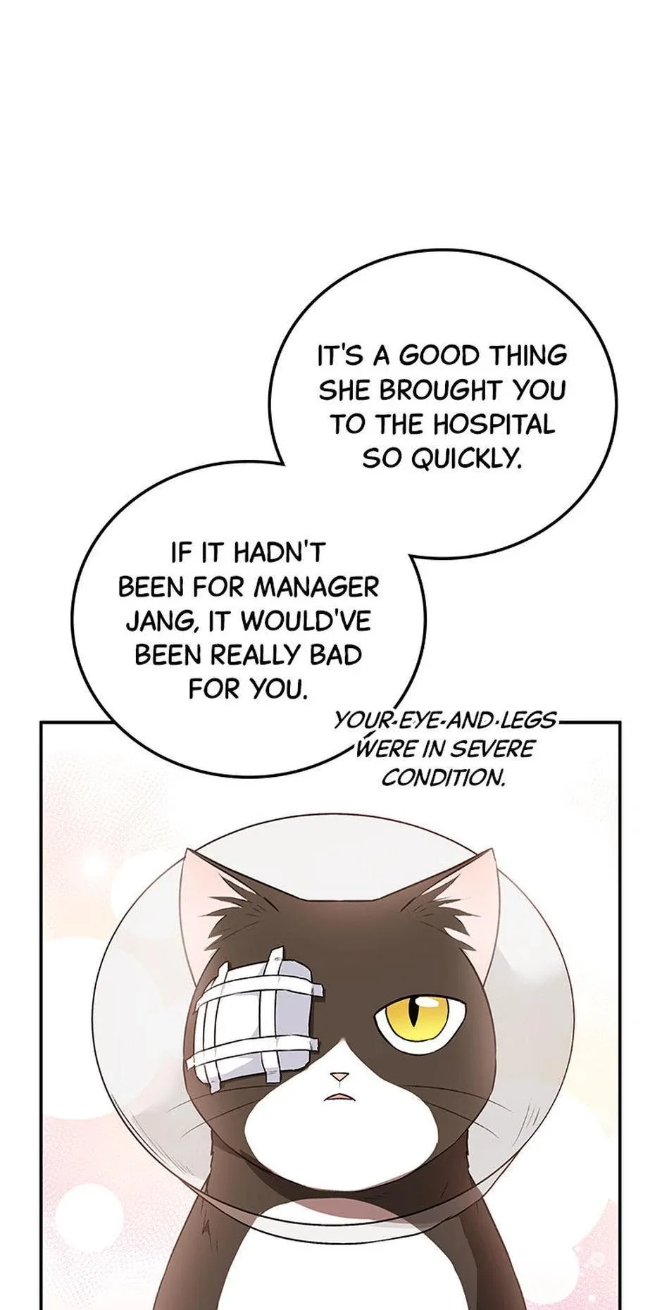 Hello! Veterinarian! Chapter 28 page 20
