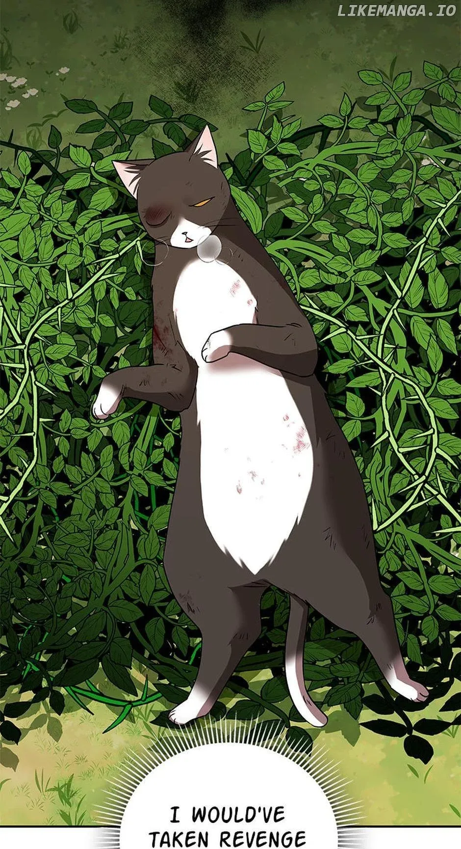 Hello! Veterinarian! Chapter 27 page 48