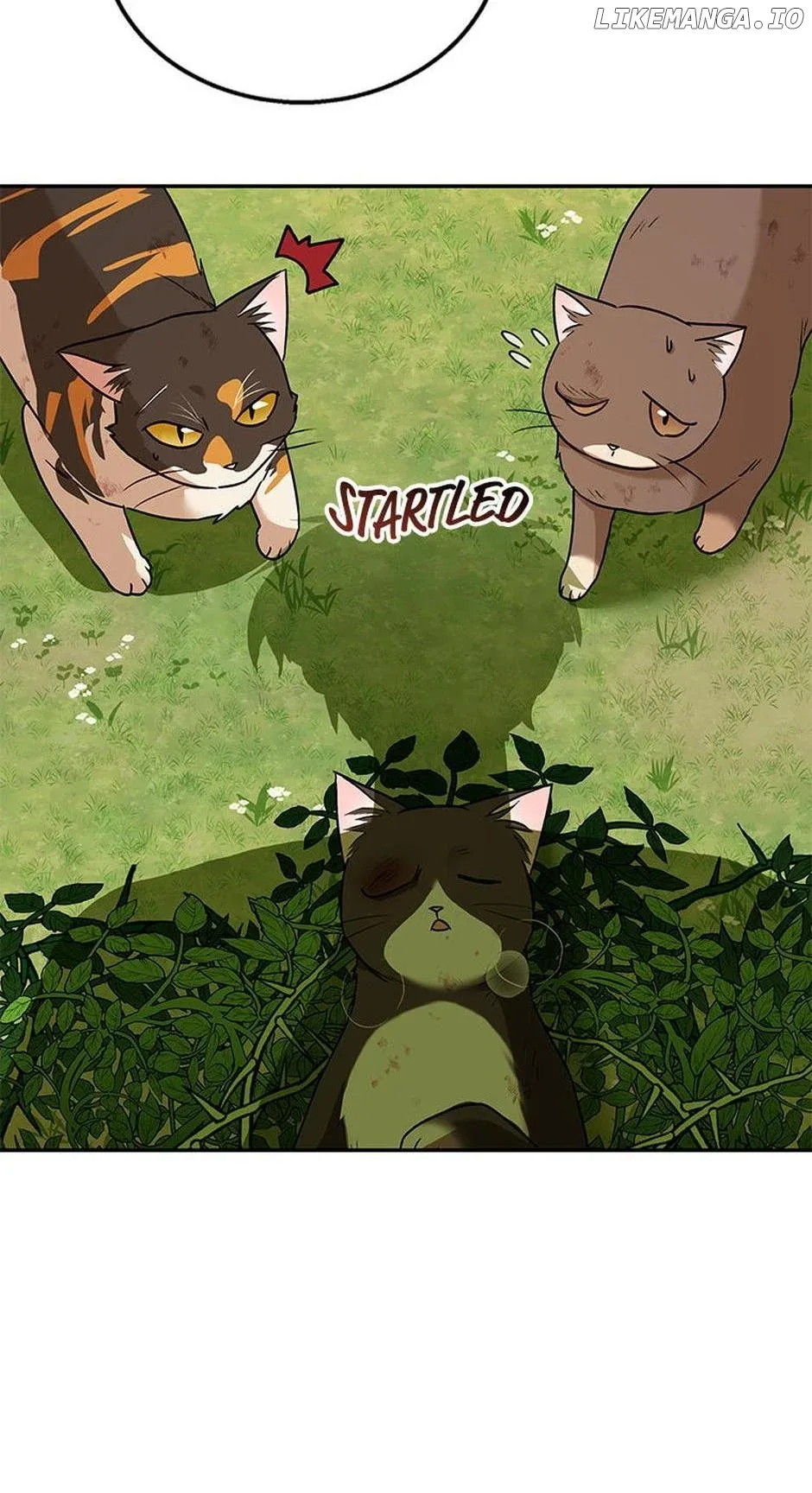 Hello! Veterinarian! Chapter 27 page 51
