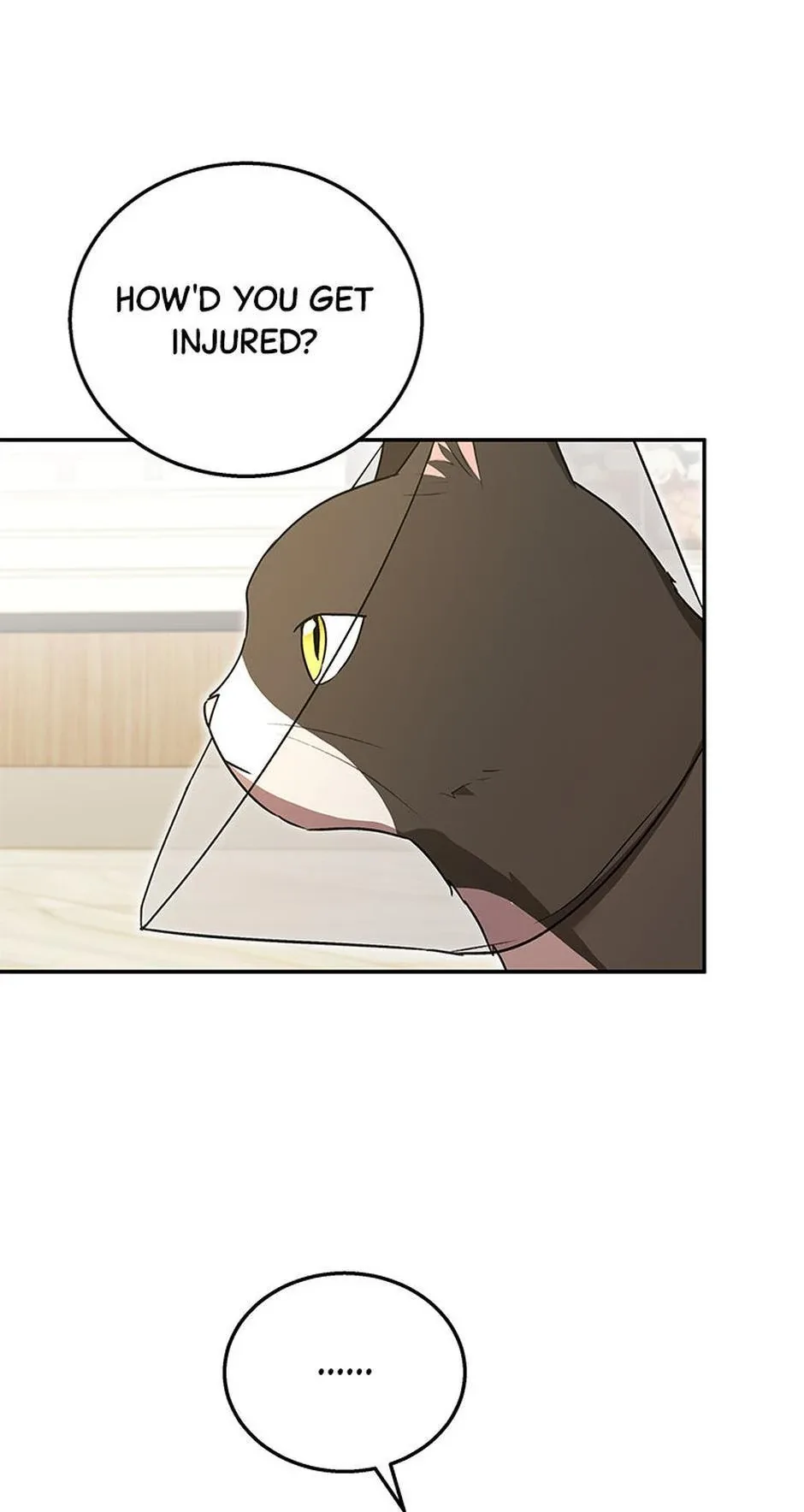Hello! Veterinarian! Chapter 28 page 36