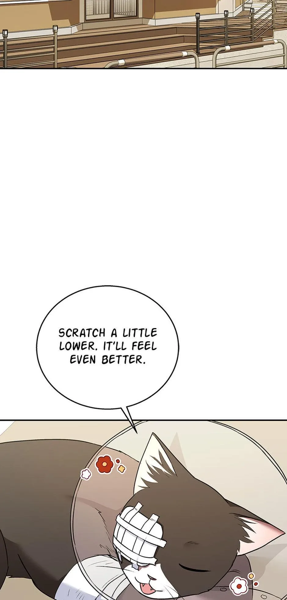 Hello! Veterinarian! Chapter 27 page 63
