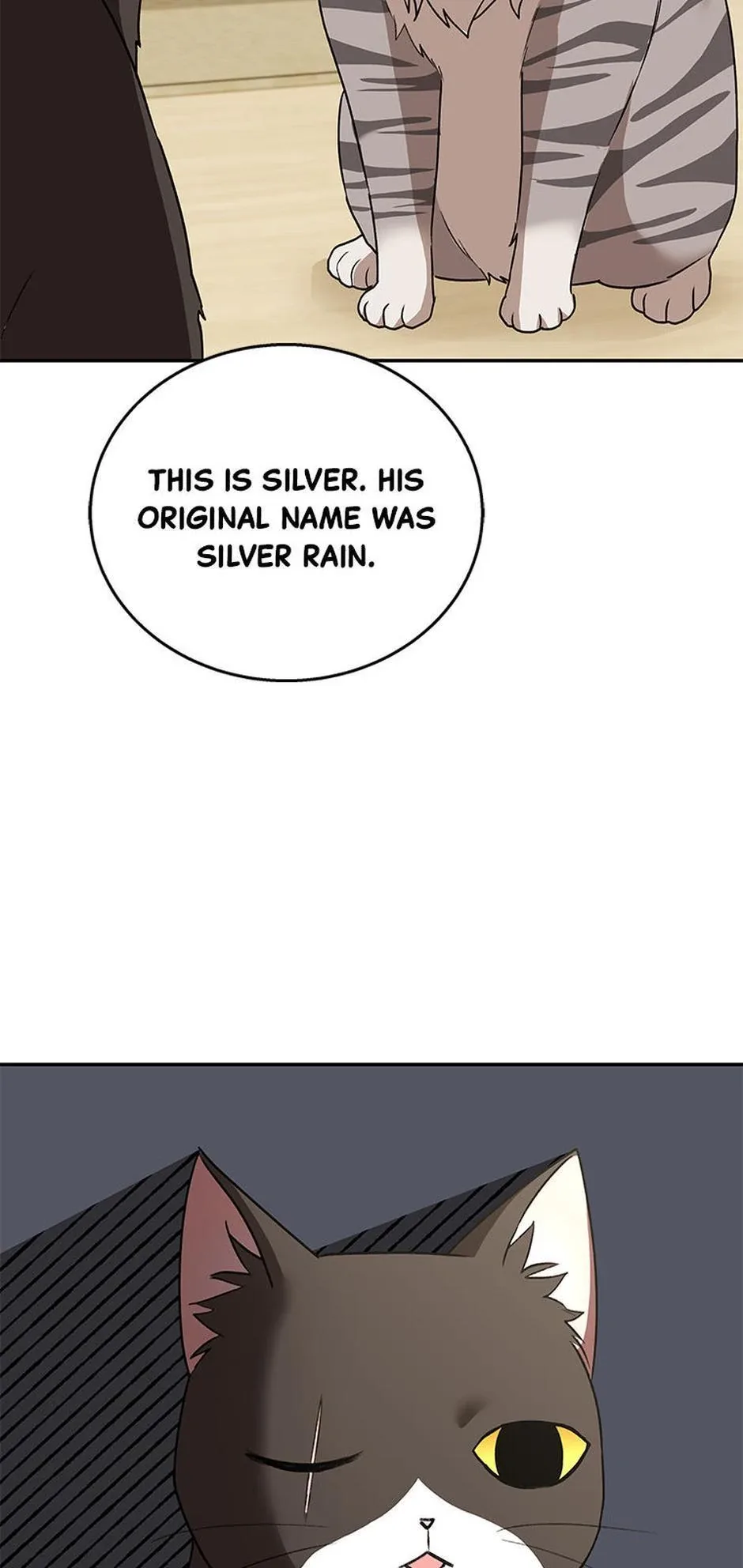 Hello! Veterinarian! Chapter 30 page 33