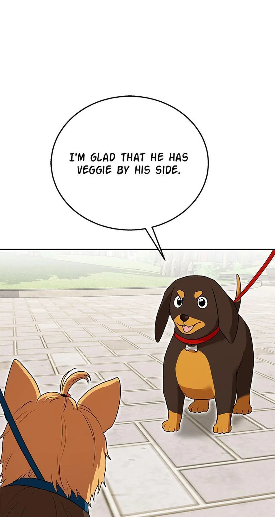 Hello! Veterinarian! Chapter 32 page 14