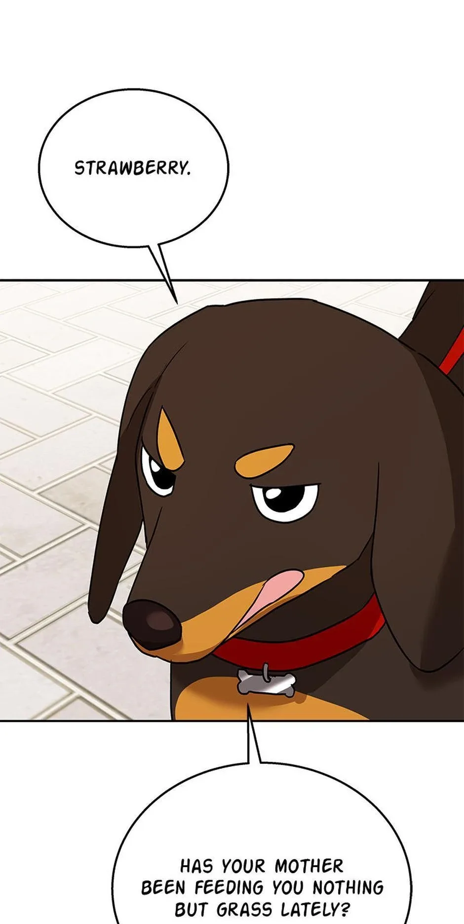 Hello! Veterinarian! Chapter 32 page 32