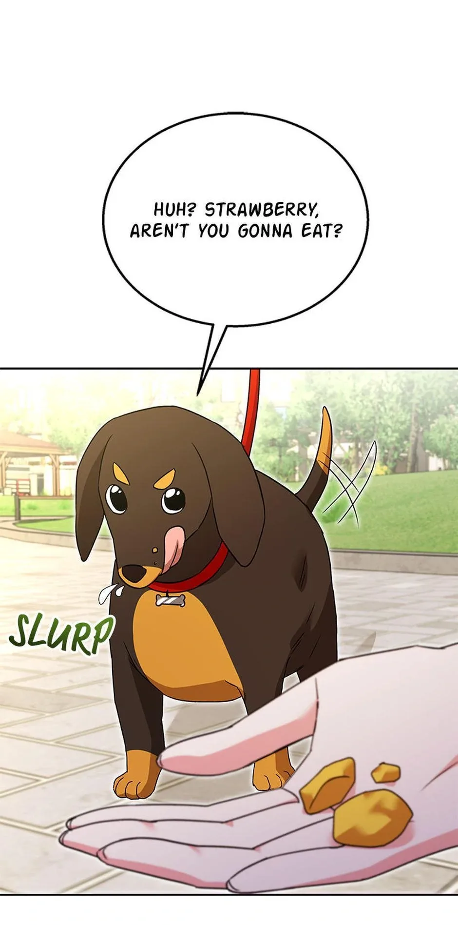 Hello! Veterinarian! Chapter 32 page 56