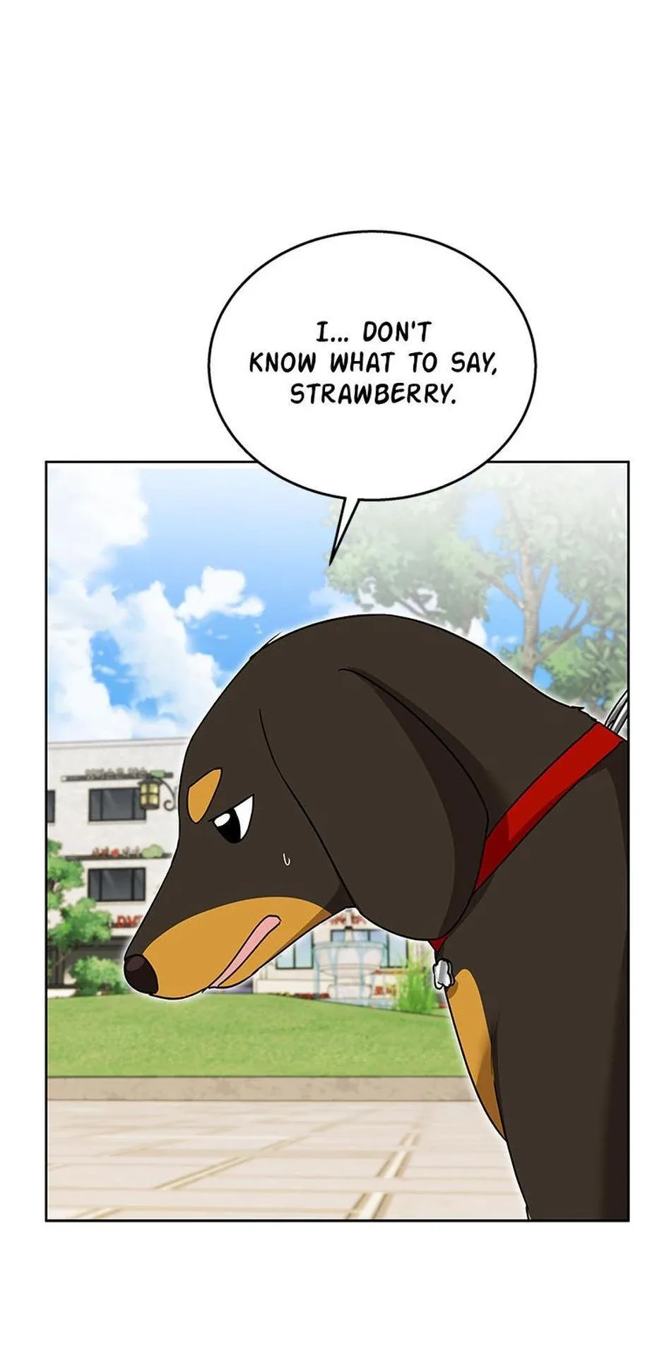 Hello! Veterinarian! Chapter 32 page 63
