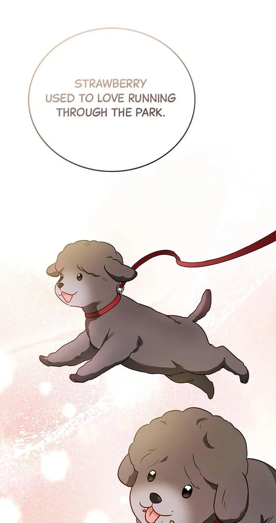 Hello! Veterinarian! Chapter 33 page 10