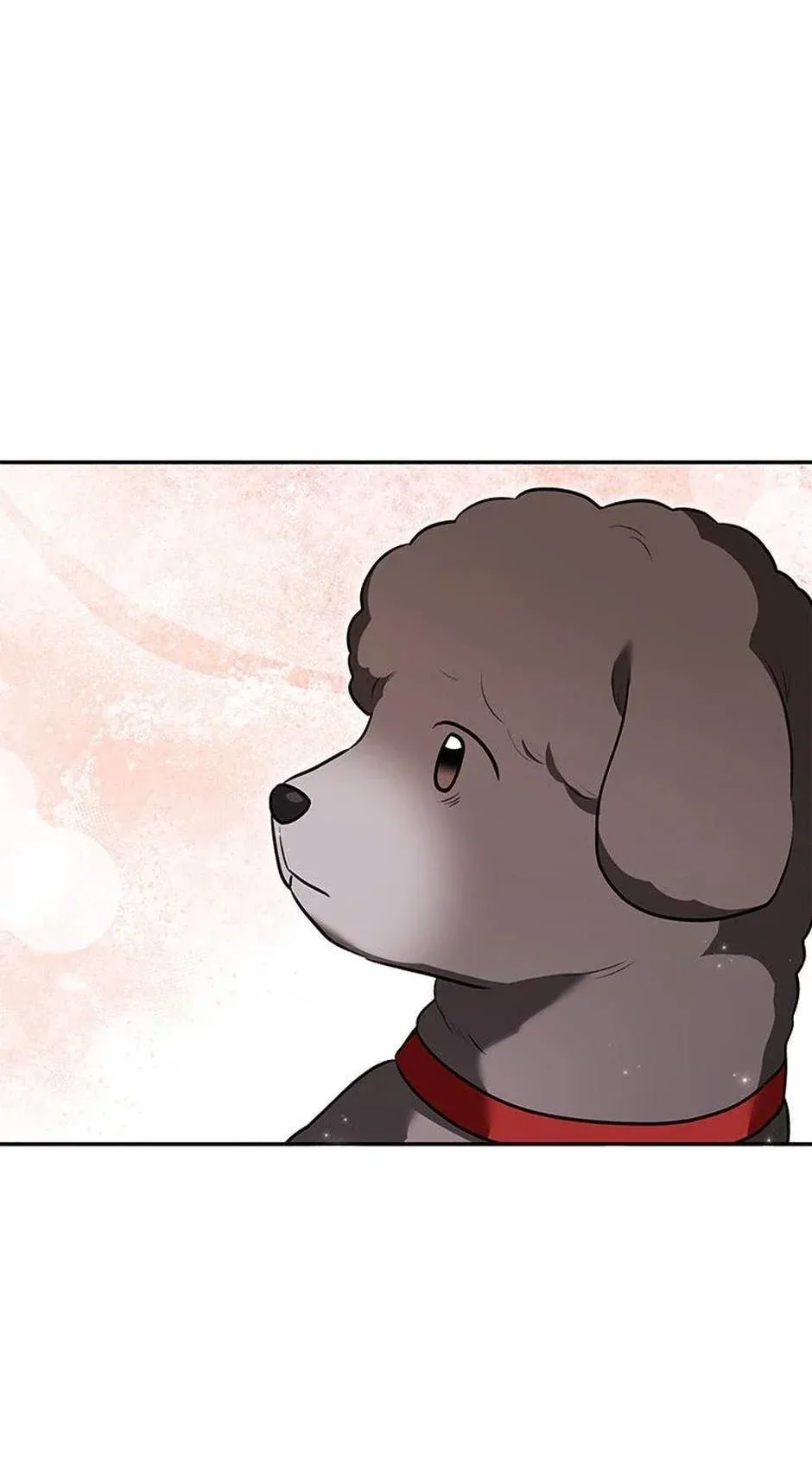 Hello! Veterinarian! Chapter 34 page 41