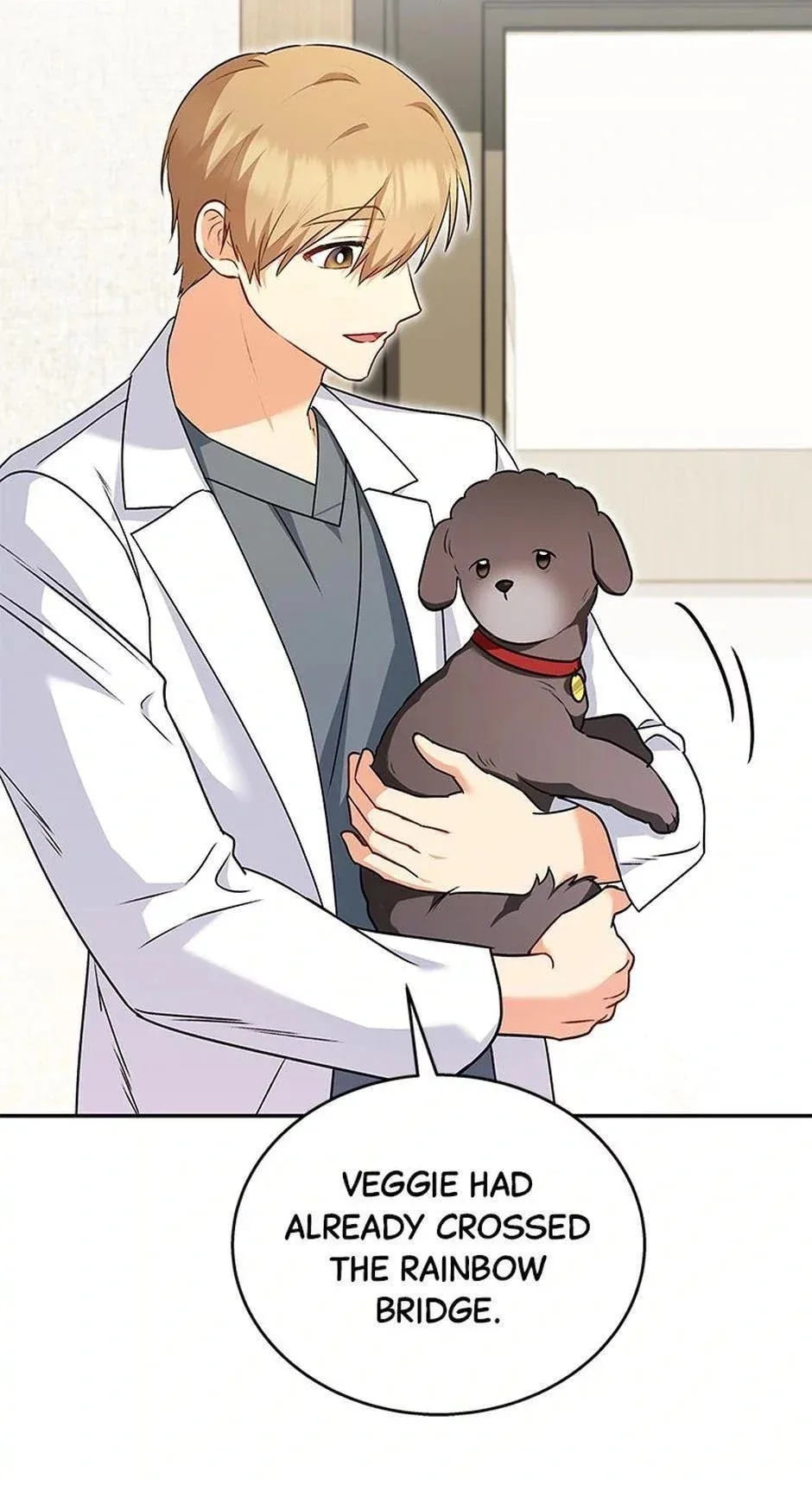 Hello! Veterinarian! Chapter 34 page 40