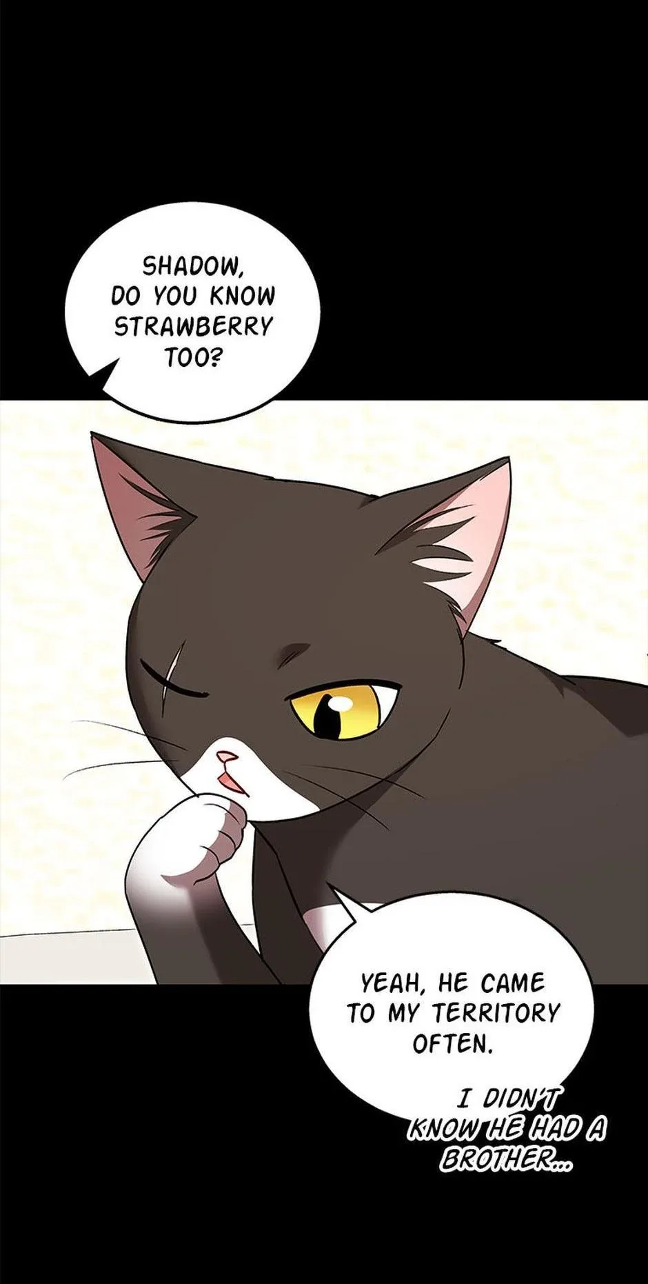 Hello! Veterinarian! Chapter 35 page 4