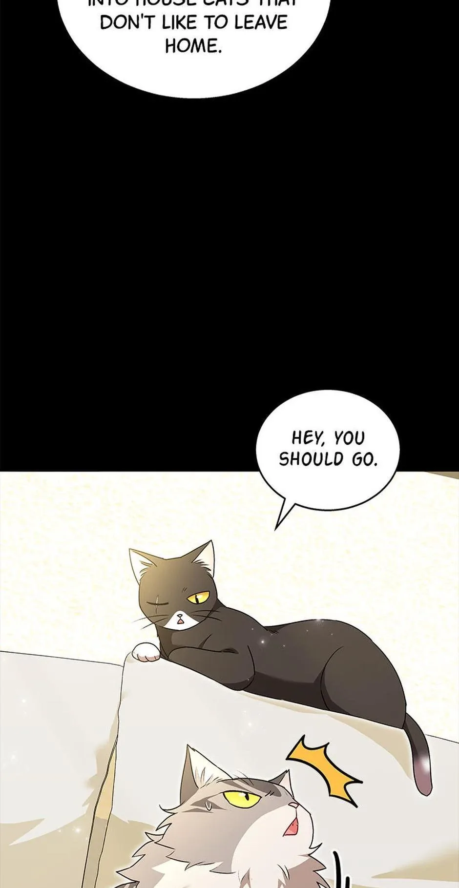 Hello! Veterinarian! Chapter 35 page 13