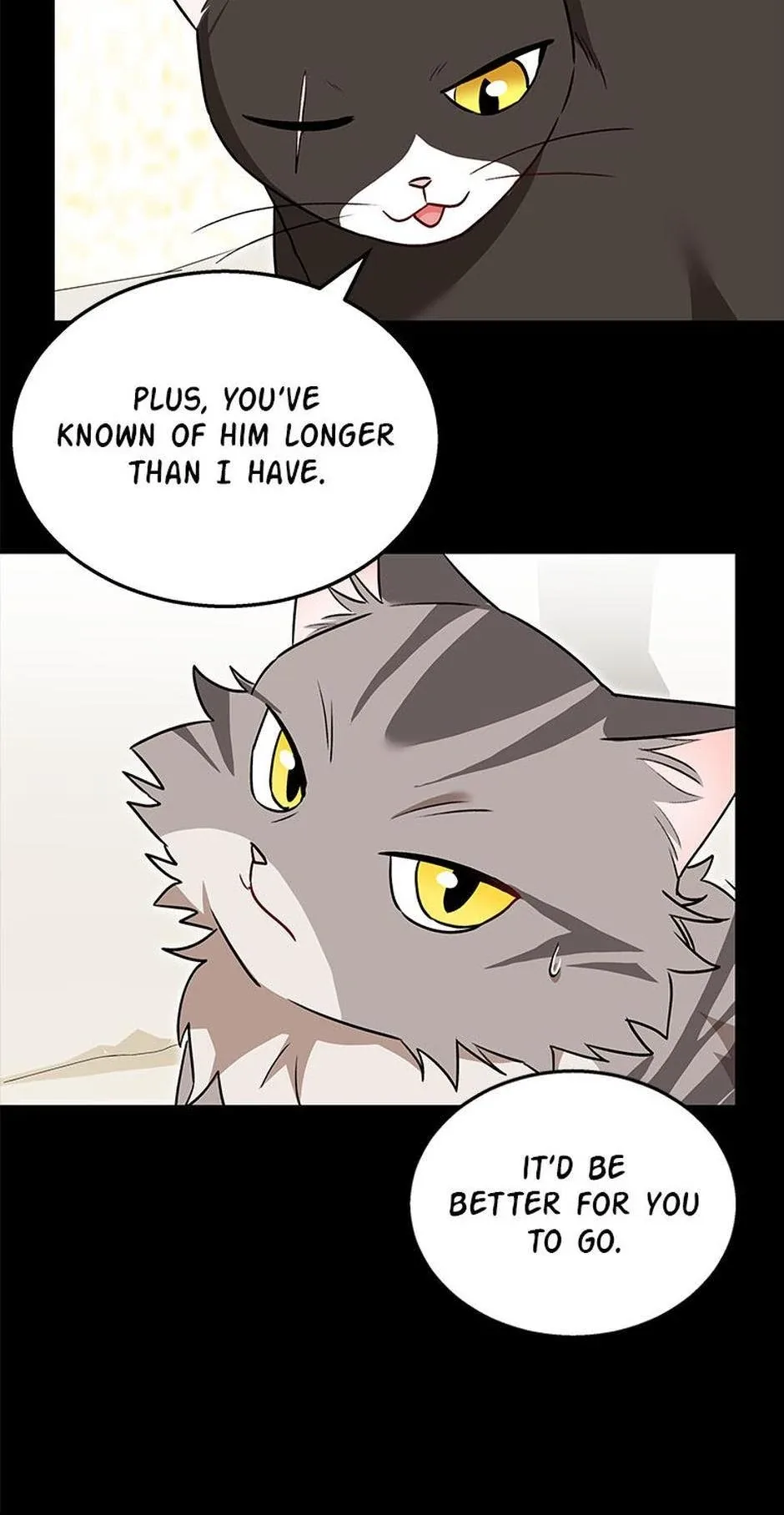 Hello! Veterinarian! Chapter 35 page 15