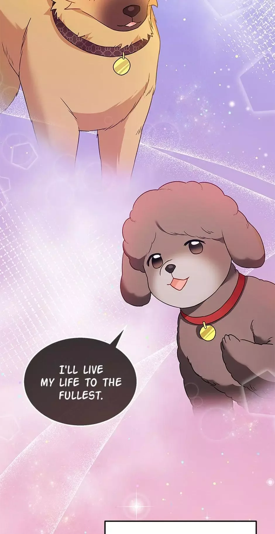 Hello! Veterinarian! Chapter 36 page 3
